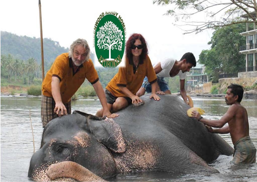 Greenwood Kandy Homestay Luaran gambar