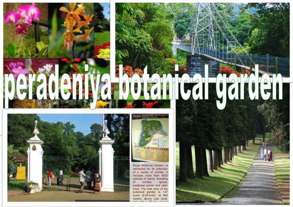 Greenwood Kandy Homestay Luaran gambar
