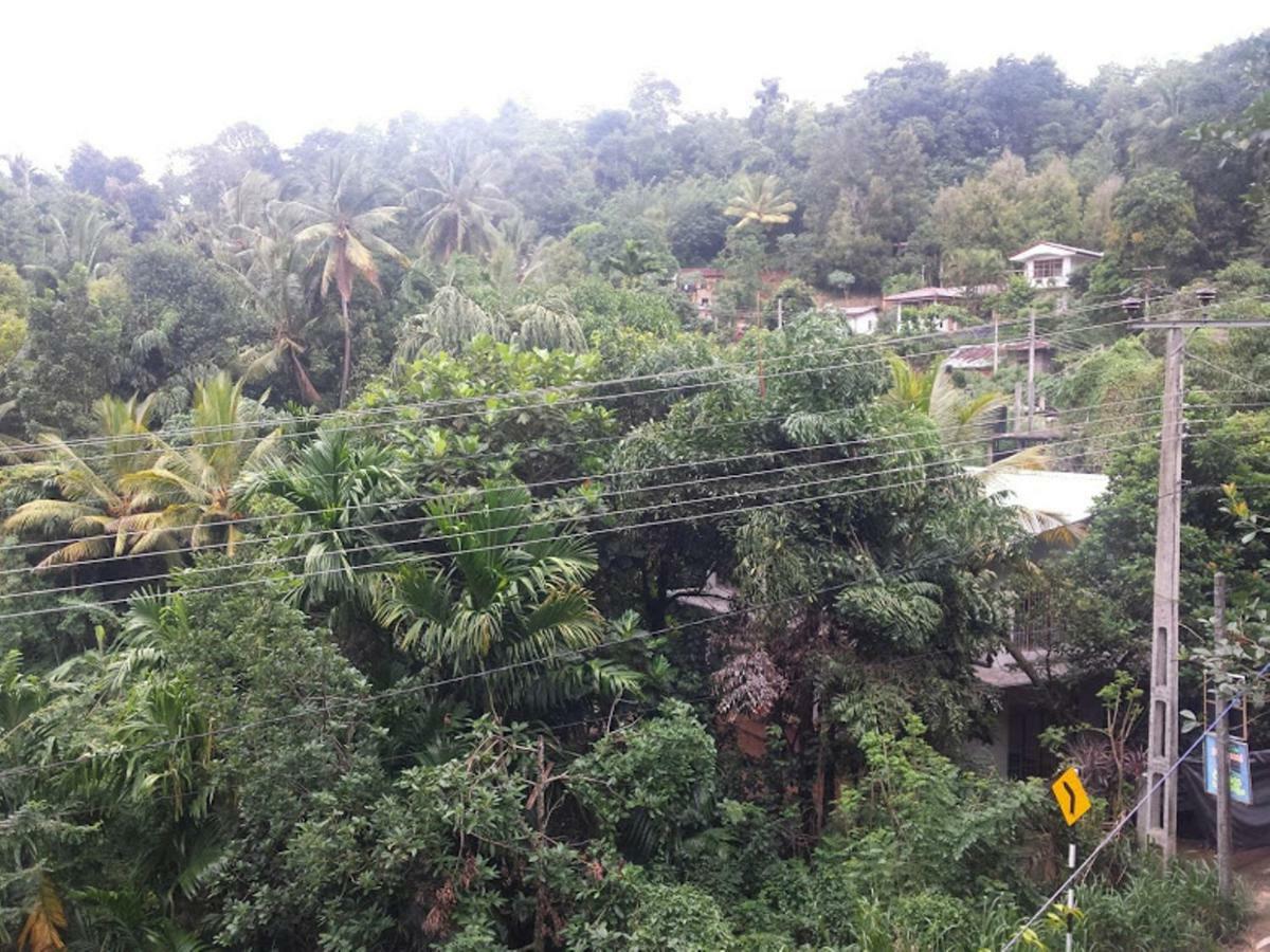 Greenwood Kandy Homestay Luaran gambar